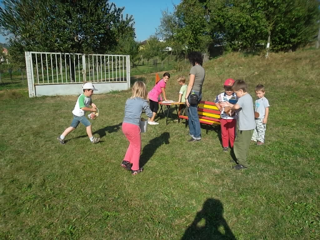 SAM_0414