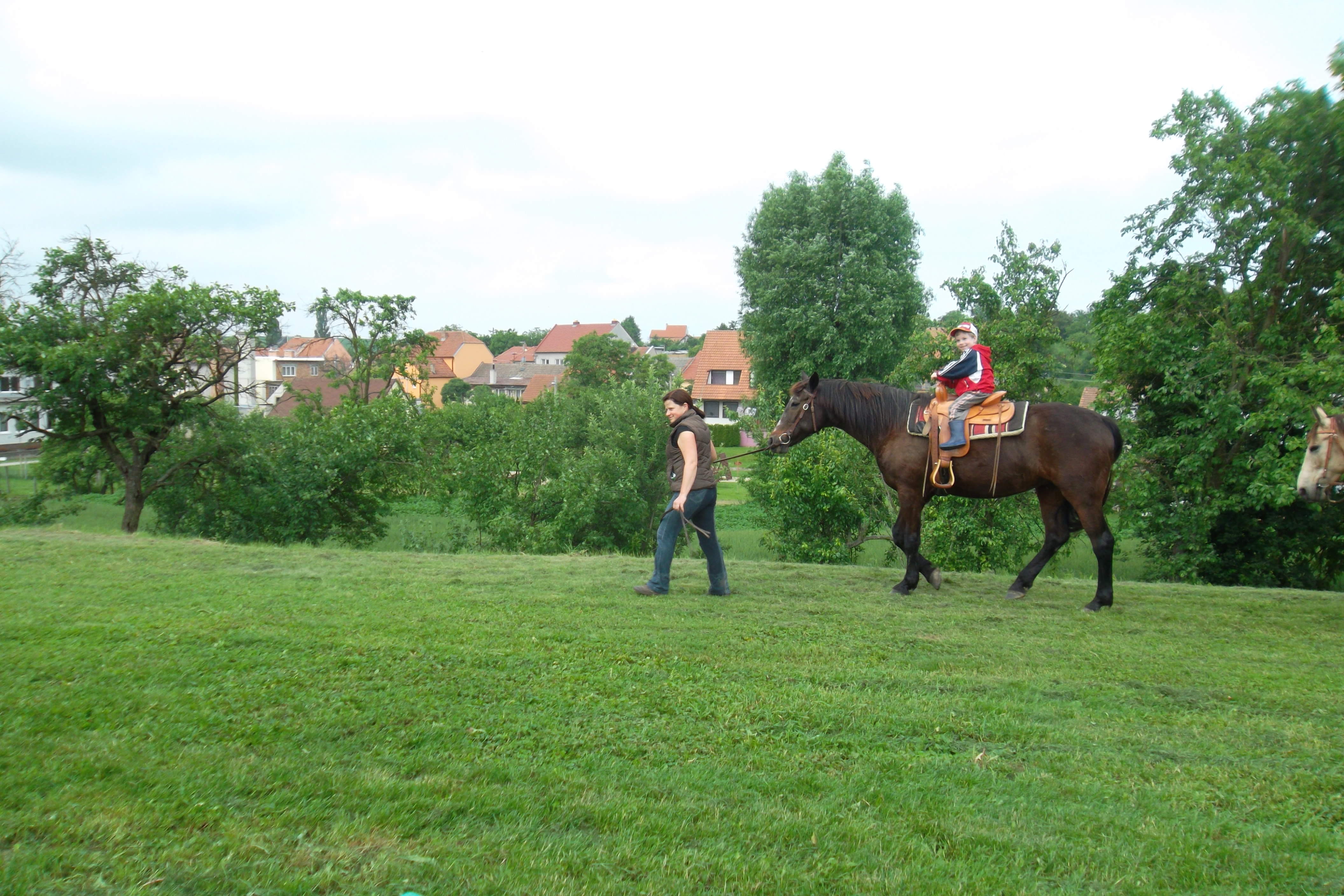 SAM_0860