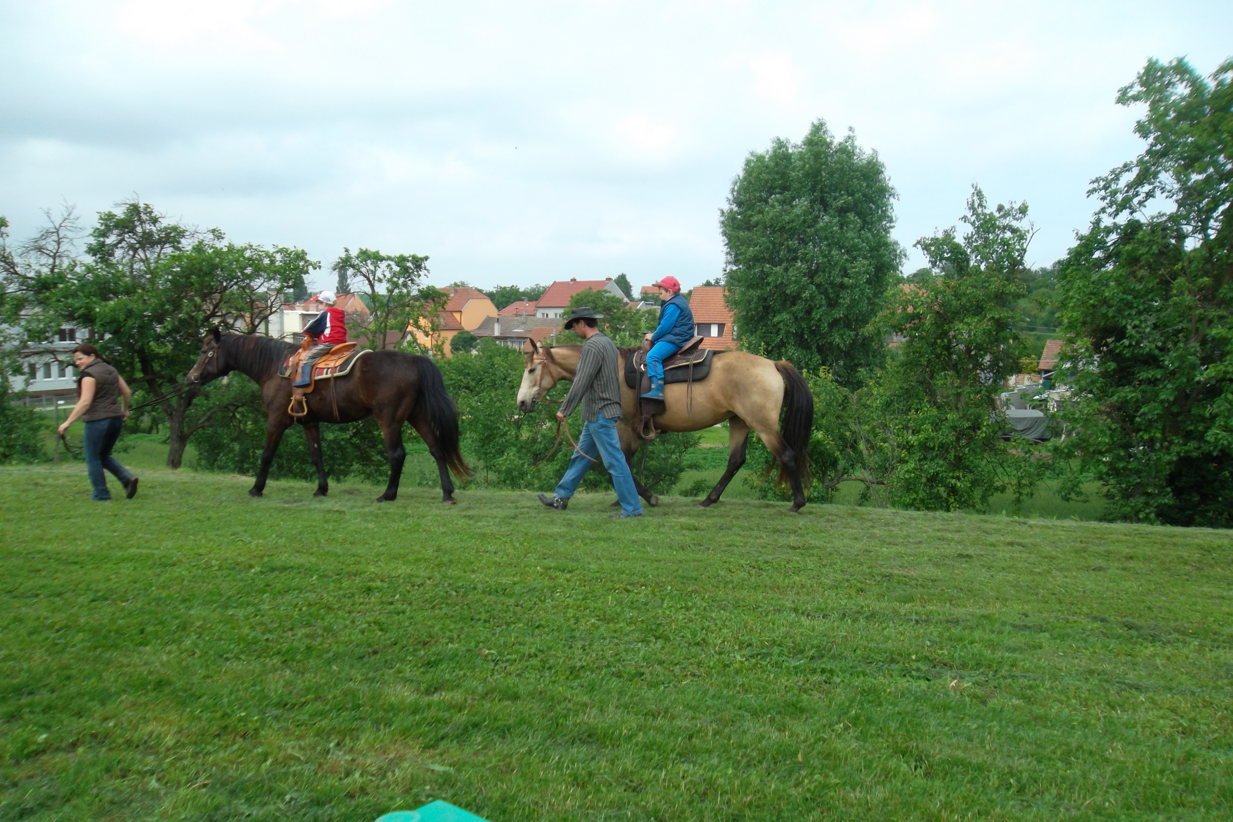SAM_0861