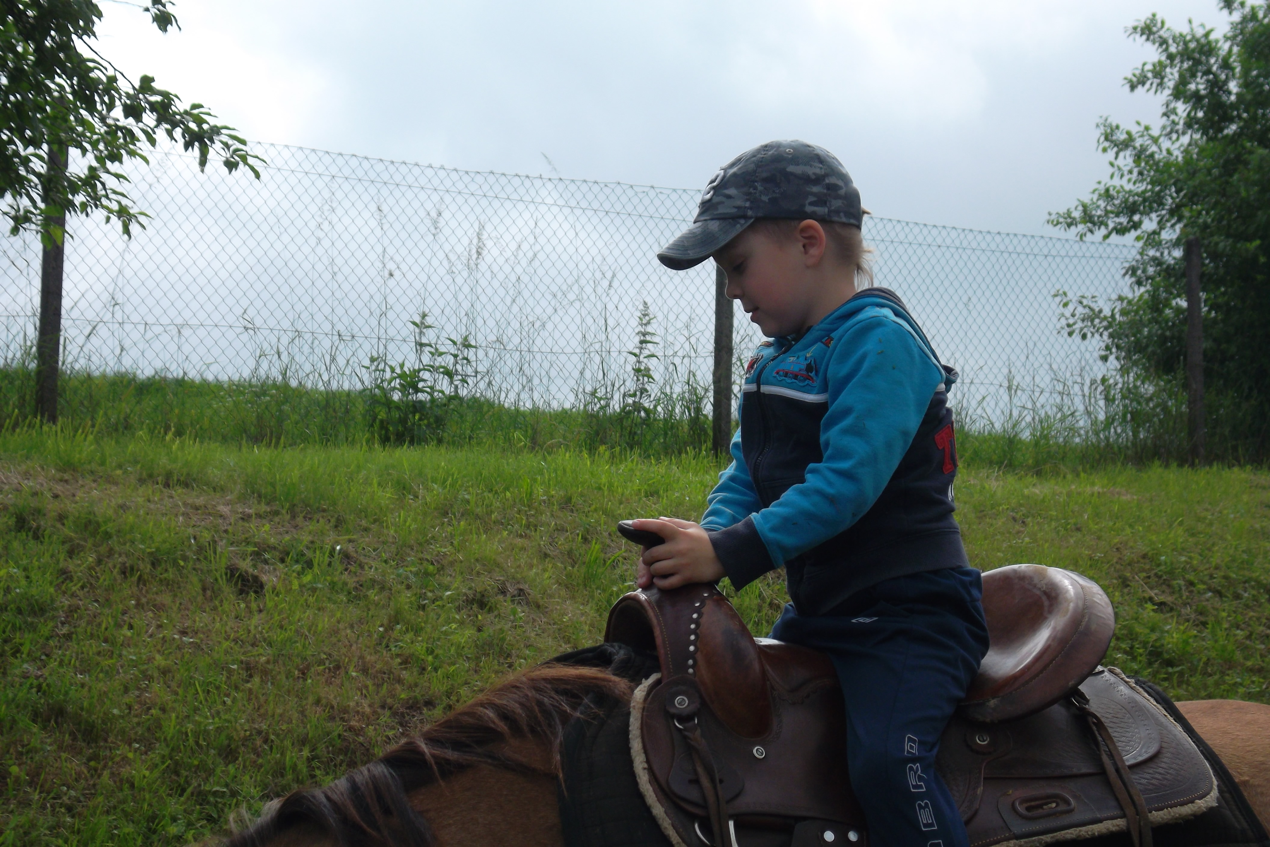 SAM_0871